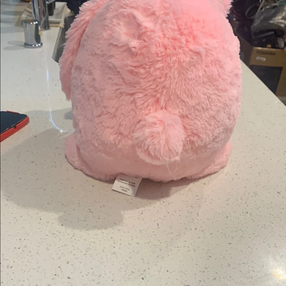 Pink Plush Bunny Bank Toy